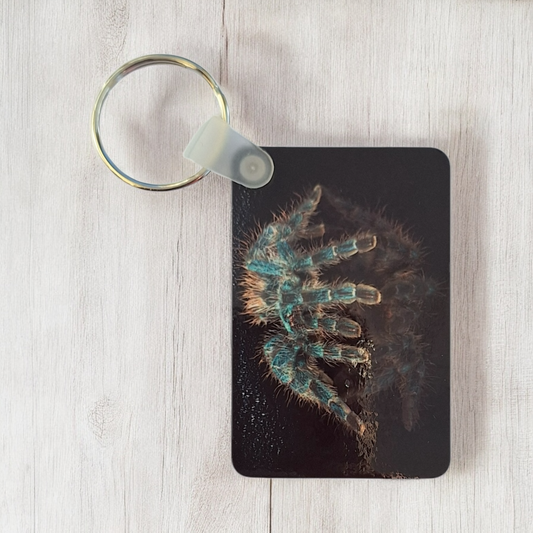 Caribena Versicolor Wooden Keyring