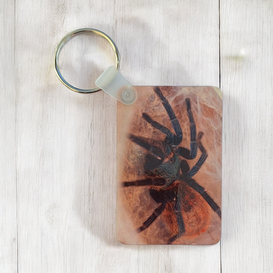 Green Bottle Blue Tarantula Wooden Keyring