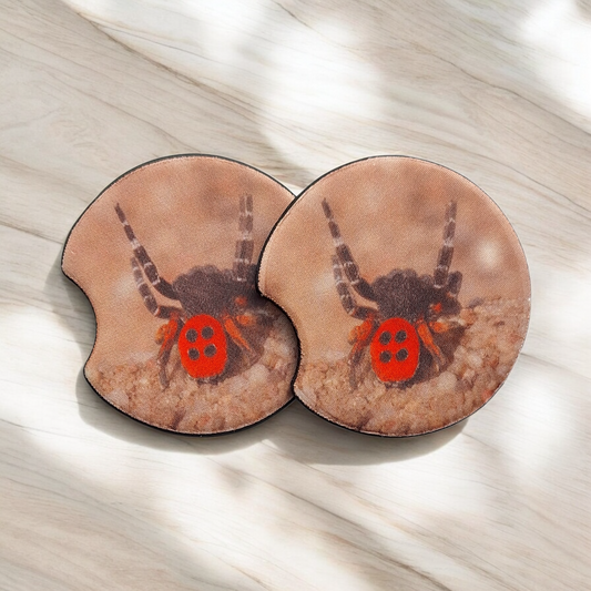 Ladybird Spider Car Coasters Set