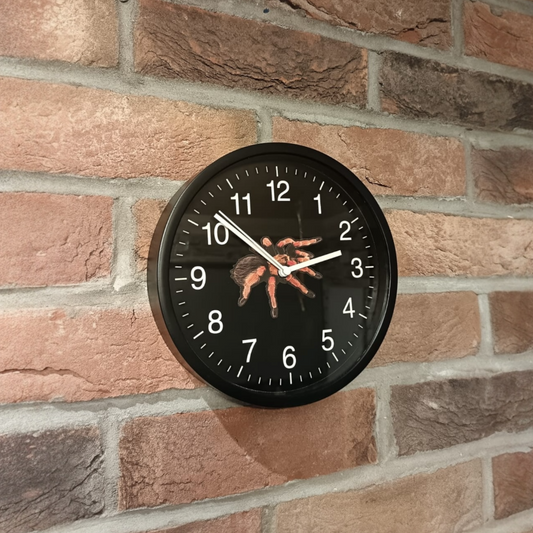 Mexican Red Knee Battery Operated Clock