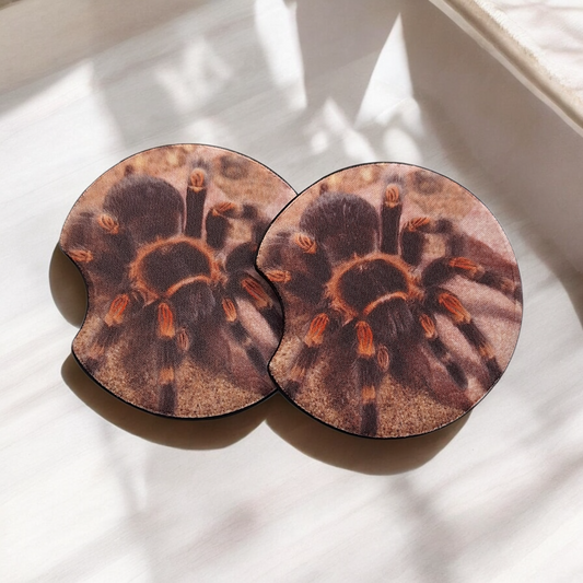 Mexican Red Knee Car Coasters Set