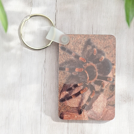 Mexican Red Knee Keyring