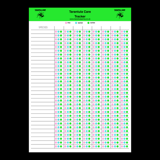 Tarantula Feeding Tracker - Hard Copy