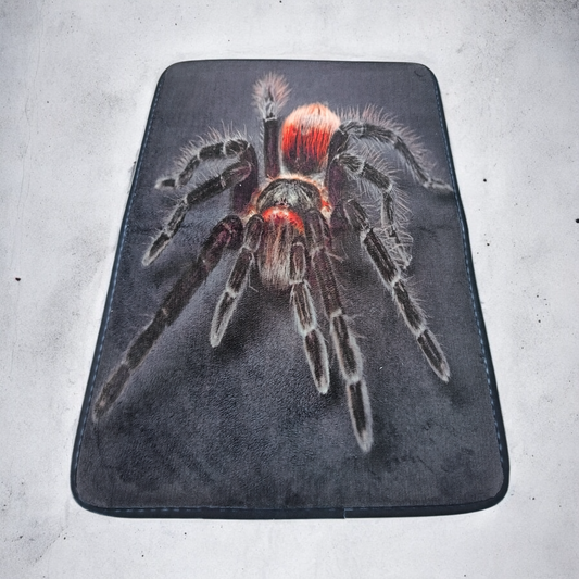 Tarantula Rug - 40 x 60cm