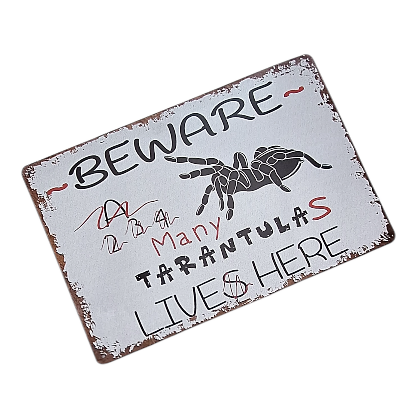 Many Tarantulas Metal Sign