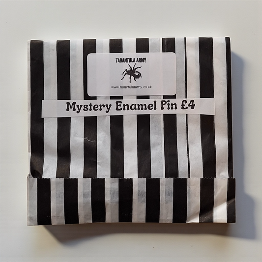 Mystery Enamel Pin Bag