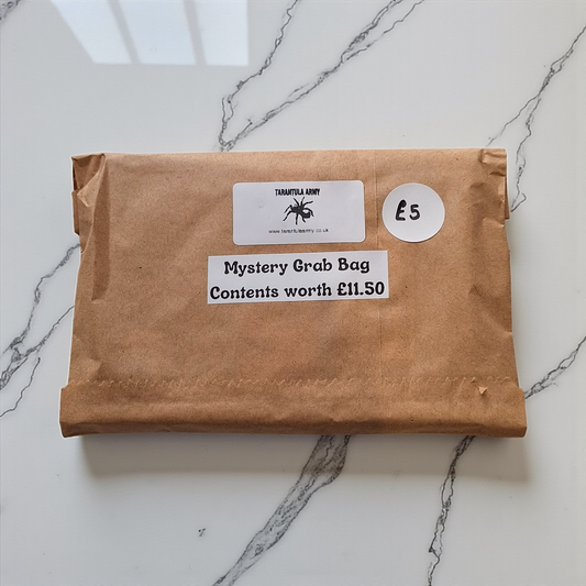 Small Mystery Grab Bag