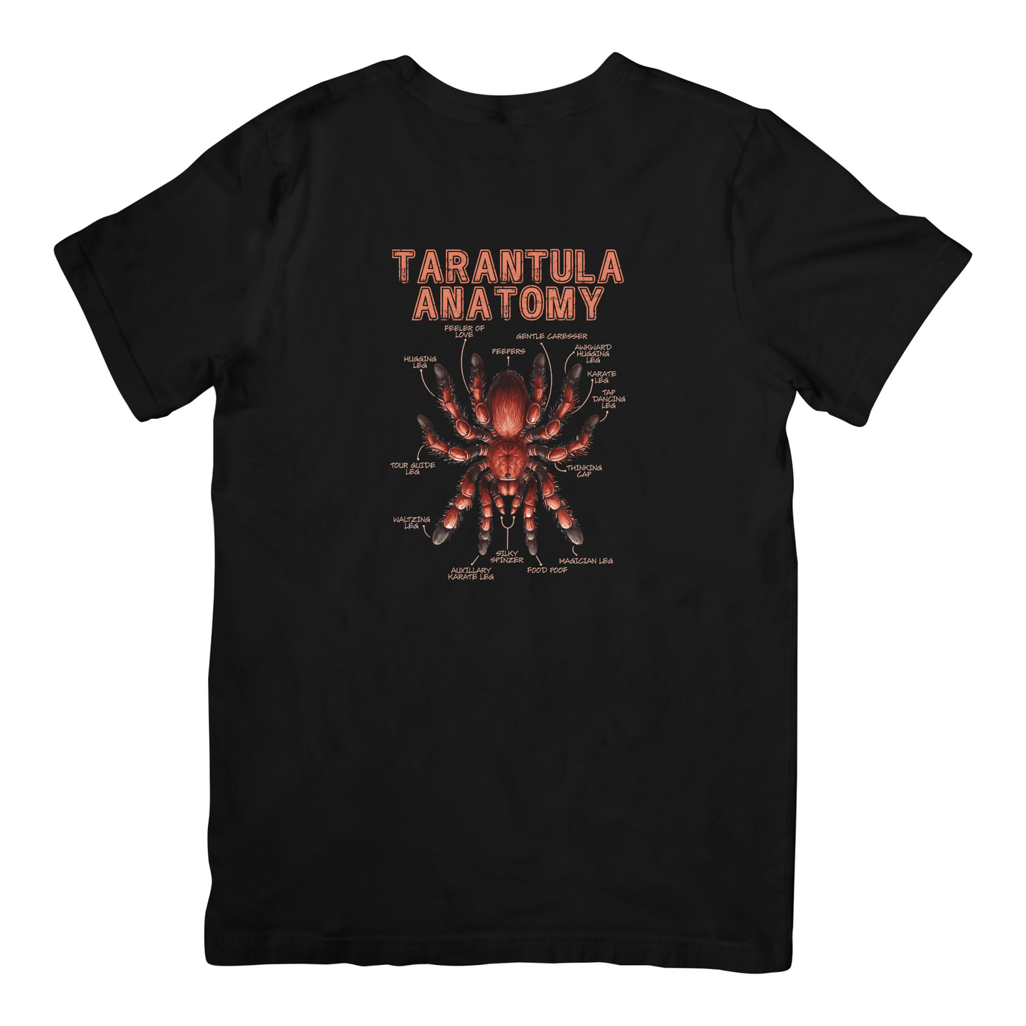 Tarantula Anatomy T-Shirt