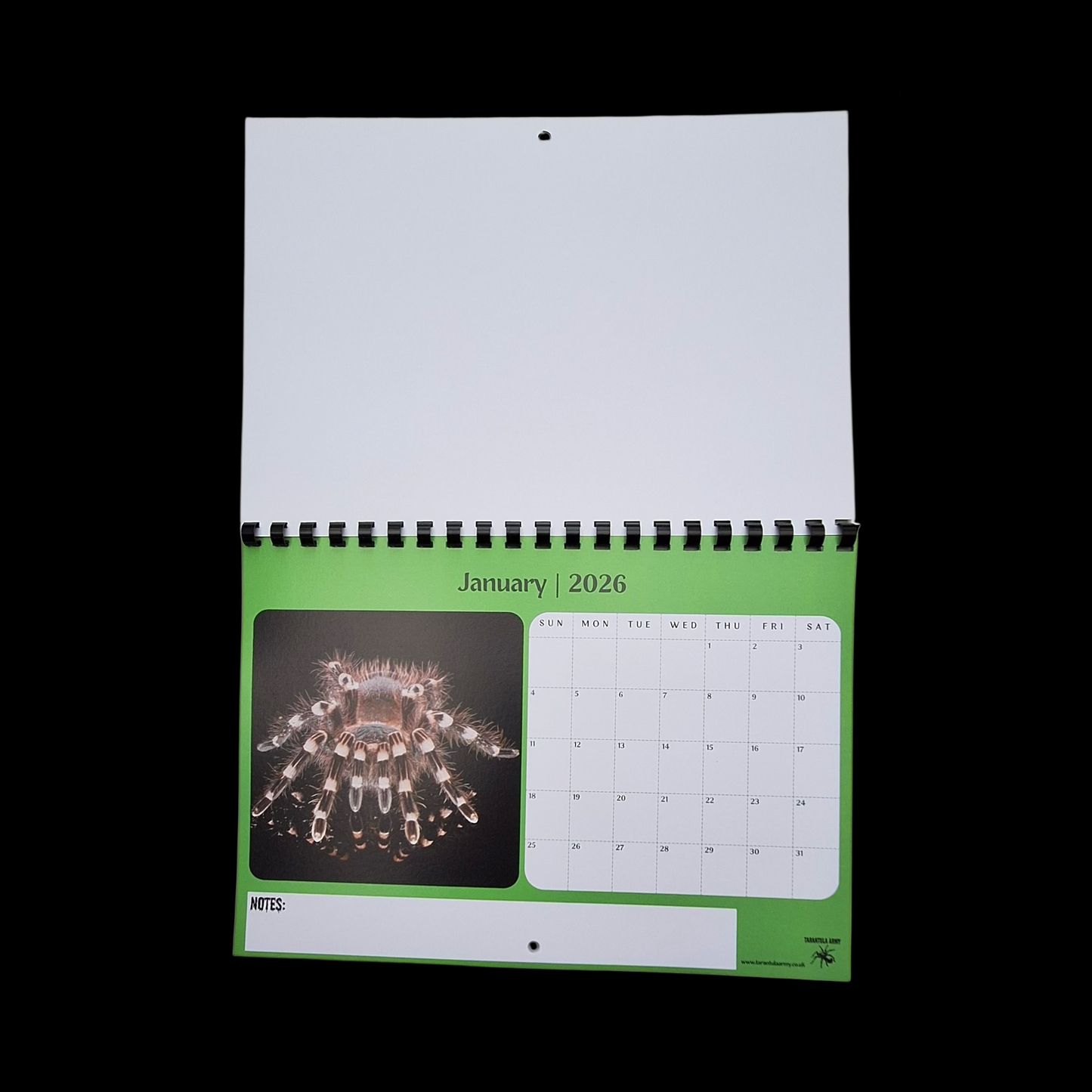 Tarantula Army 2026 A4 Wall Calendar