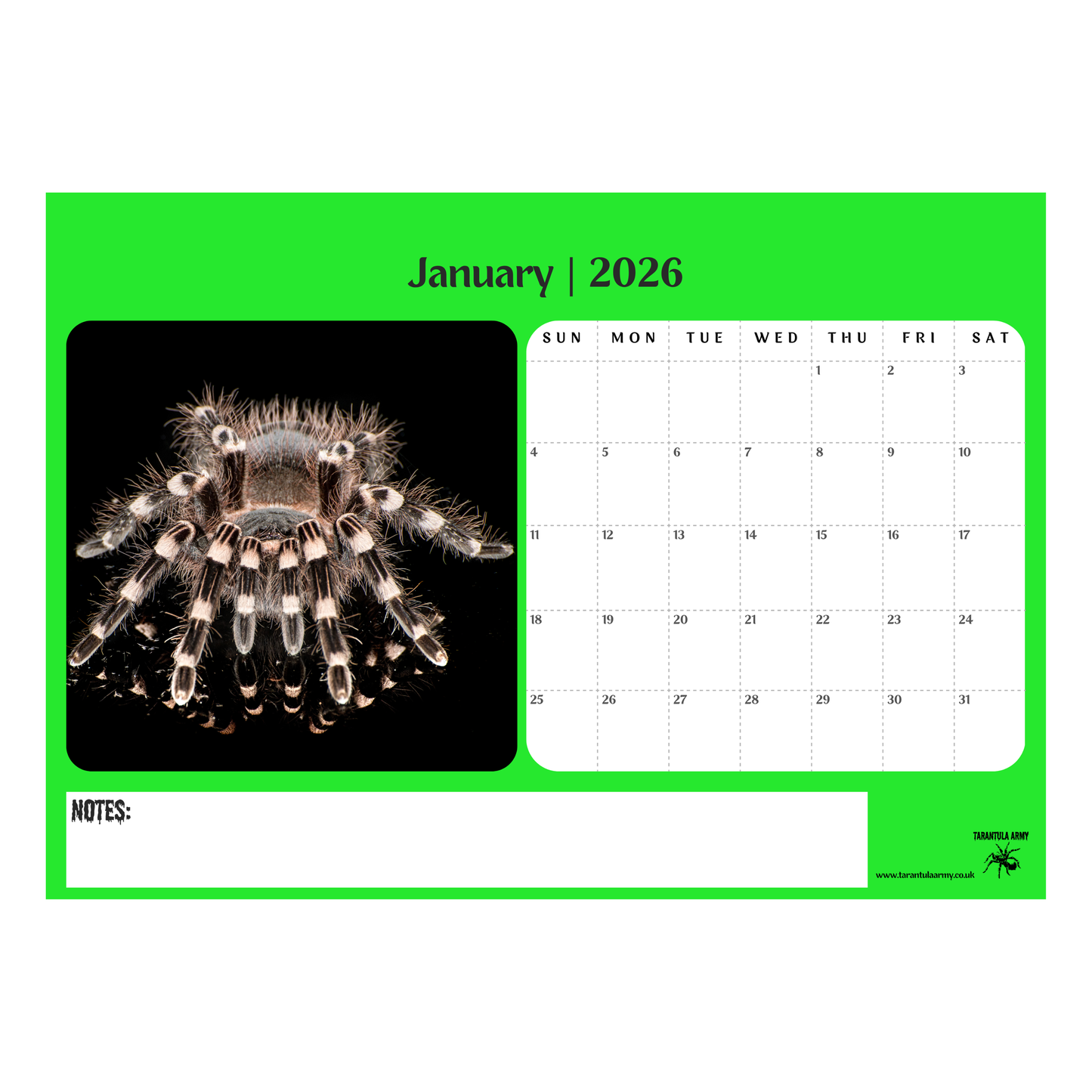 Calendar for January 2026 with a spider image on a green border